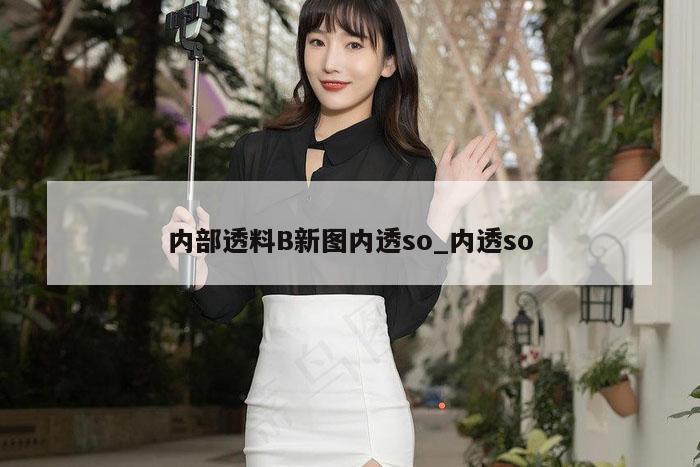 内部透料B新图内透so_内透so